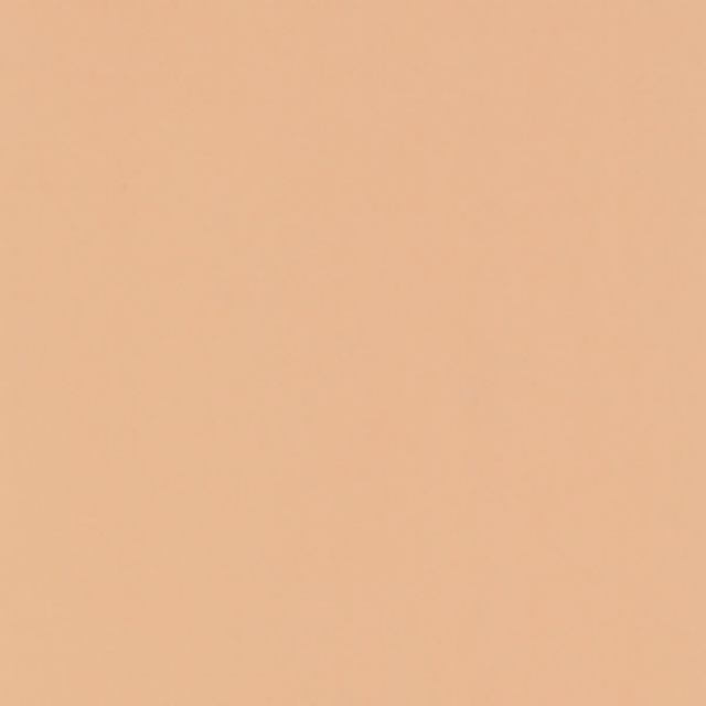 4017-Muravyl